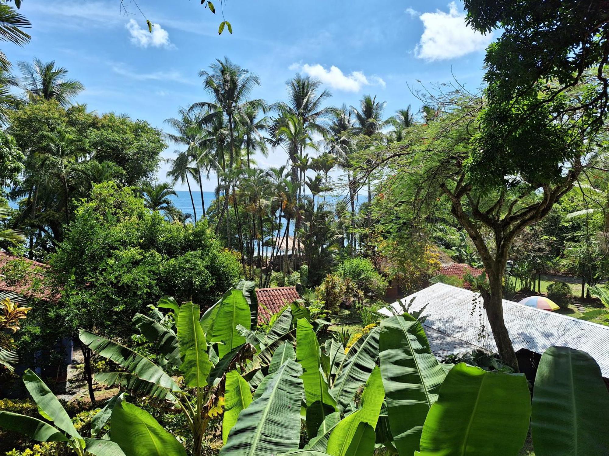 Rancho Burica Pavones (Puntarenas) Exterior foto